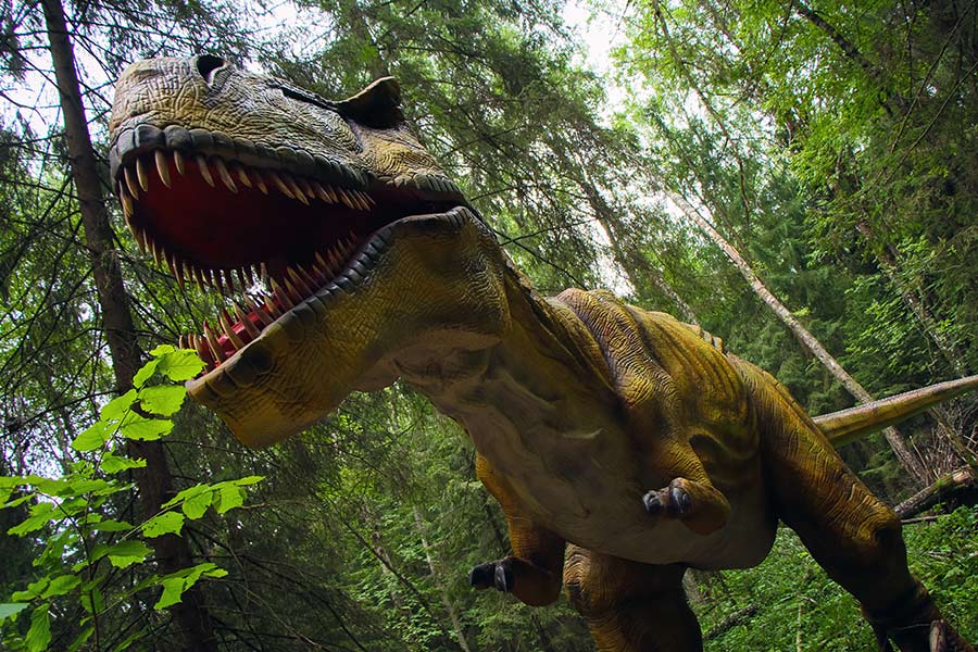 Парк динозавров в этномире фото