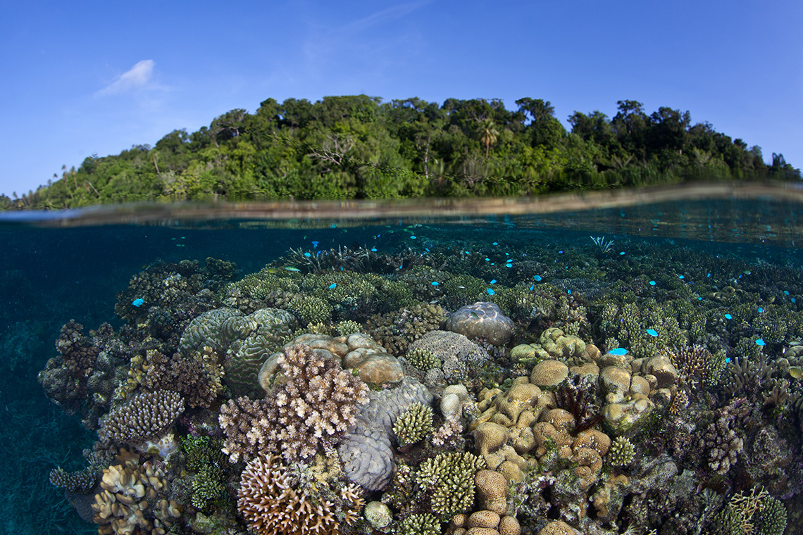 Микронезия коралловые острова