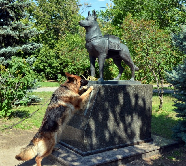 Памятник собакам-подрывникам
