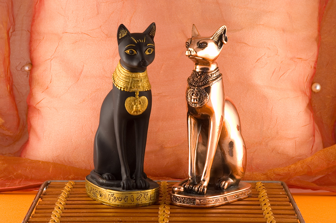 египетские домашние кошки