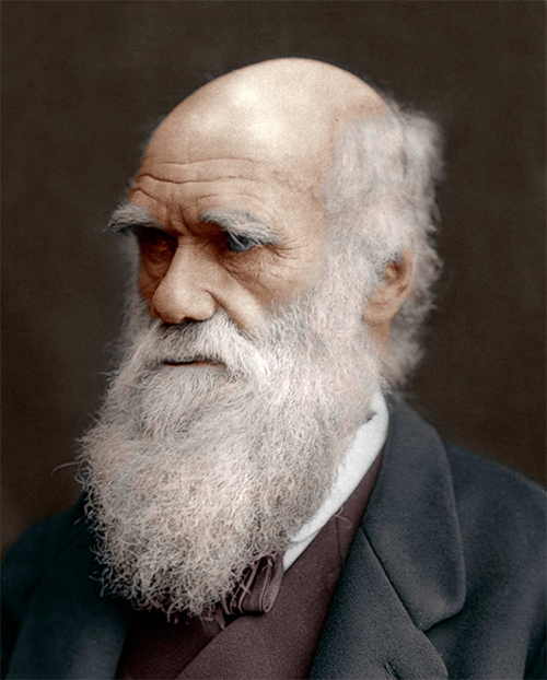 Чарльз Дарвин: краткая биография и основные идеи