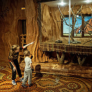 Неделя Австралии и Океании